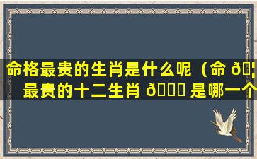 命格最贵的生肖是什么呢（命 🦉 最贵的十二生肖 🐟 是哪一个）